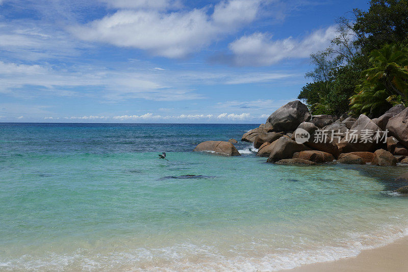 Anse Kerlan，普拉林，塞舌尔